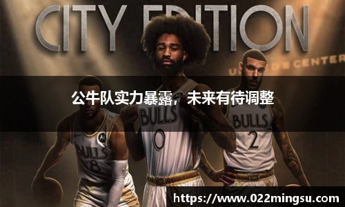 公牛队实力暴露，未来有待调整