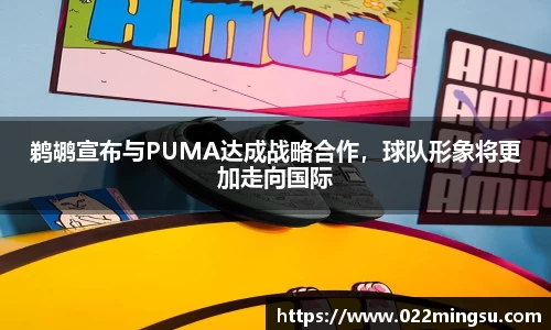鹈鹕宣布与PUMA达成战略合作，球队形象将更加走向国际